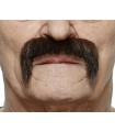 BIGOTE CASTAÑO