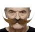 BIGOTE LARGO RUBIO