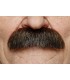 BIGOTE CASTAÑO