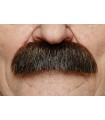 BIGOTE CASTAÑO