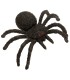 ARAÑA