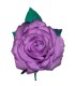 ROSA DEL SUR TEÑIDA