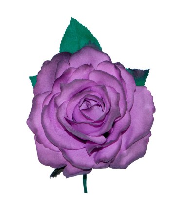 ROSA DEL SUR TEÑIDA