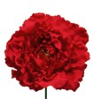 FLOR PEONIA