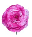FLOR PEONIA NUEVA EMPOLVADA