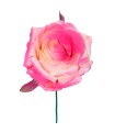 CAPULLO ROSA EMPOLVADO
