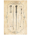 POSTER VARITAS HARRY POTTER