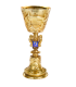COPA DUMBLEDORE
