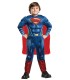 SUPERMAN DELUXE