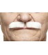 BIGOTE