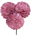 FLOR AMORA
