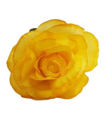 ROSA JACARANDA TEÑIDA