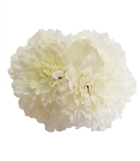 CLAVEL DOS FLORES