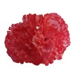 CLAVEL DOS FLORES