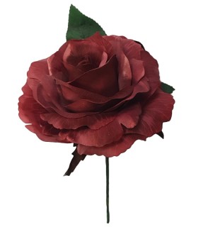 ROSA MARAVILLA TEÑIDA
