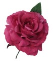 ROSA MARAVILLA TEÑIDA