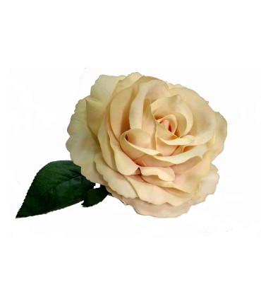 ROSA MARAVILLA
