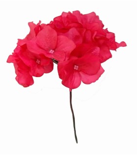 HORTENSIA TEÑIDA