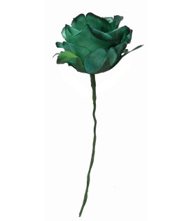 CAPULLO ROSA TEÑIDO