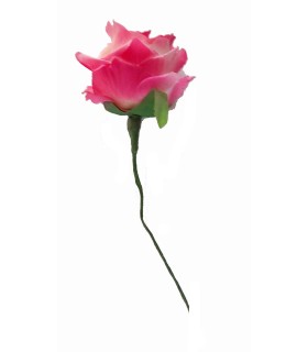 CAPULLO ROSA EMPOLVADO