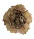 FLOR PEONIA