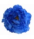 FLOR PEONIA TEÑIDA