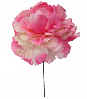 FLOR PEONIA NUEVA EMPOLVADA