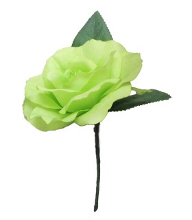 ROSA DANZA