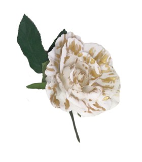 ROSA DANZA DIFUMINADA