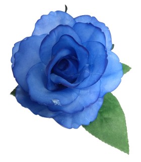 ROSA DANZA TEÑIDA
