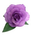ROSA DANZA TEÑIDA
