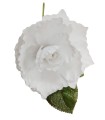 FLOR SIENA