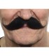 BIGOTE