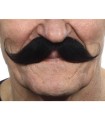 BIGOTE
