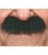 BIGOTE