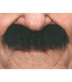 BIGOTE