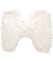 ALAS DE ÁNGEL