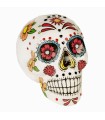 CALAVERA DÍA DE LOS MUERTOS