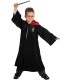 HARRY POTTER DELUXE