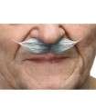 BIGOTE 003