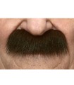 BIGOTE
