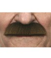 BIGOTE
