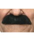 BIGOTE