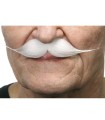BIGOTE BLANCO