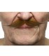 BIGOTE