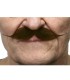BIGOTE