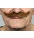 BIGOTE