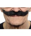 BIGOTE