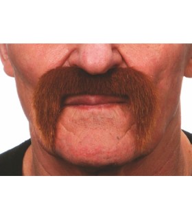 BIGOTE ROCKERO RUBIO
