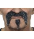 BIGOTE MOTERO CANOSO